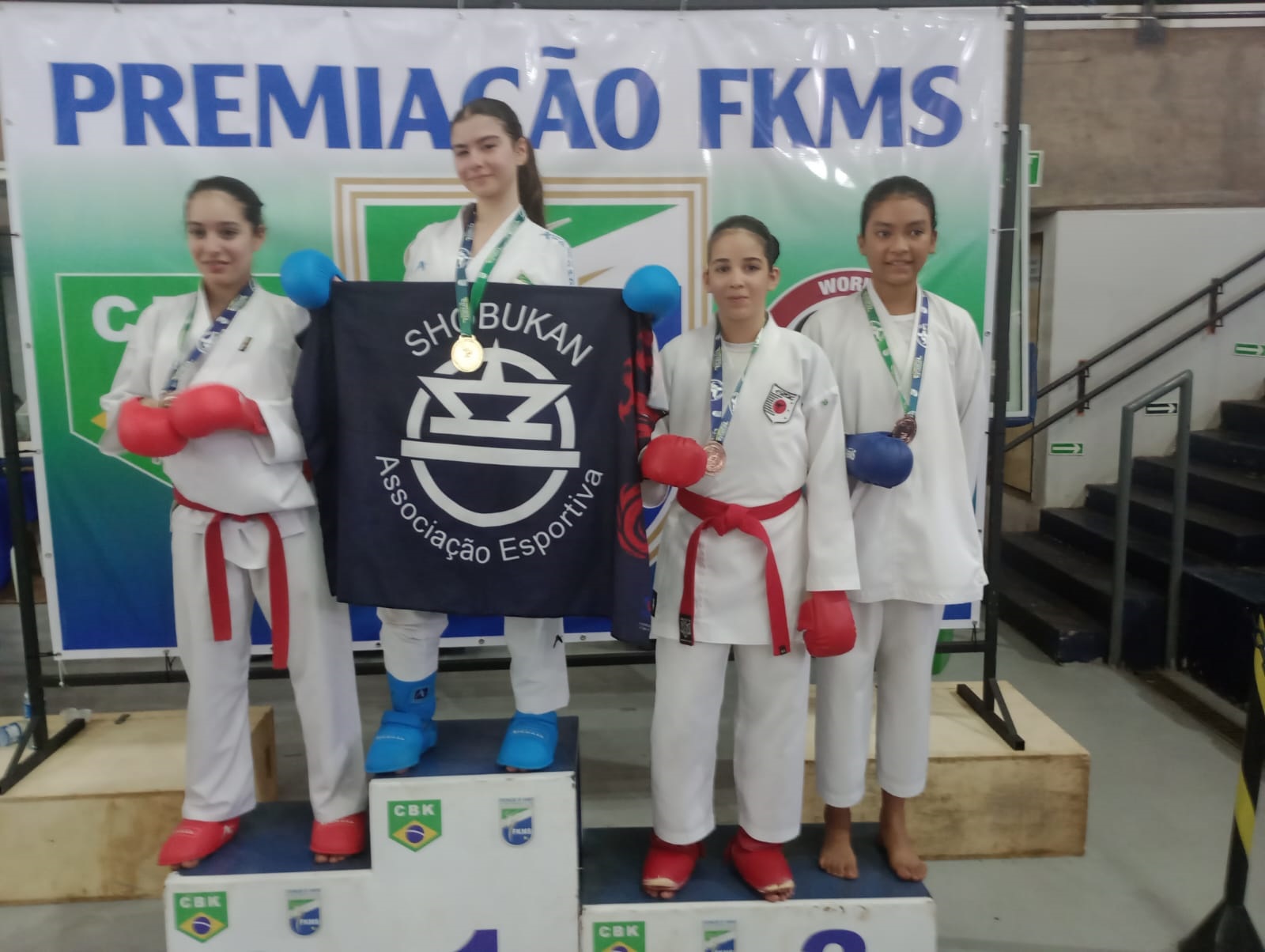 Imagem 7 da galeria